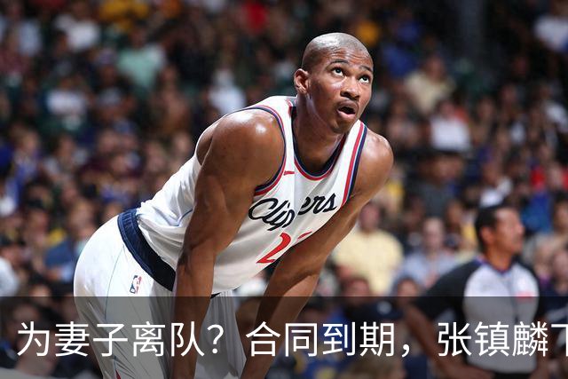 为妻子离队？合同到期，张镇麟下家4选1，广东2队有机会
